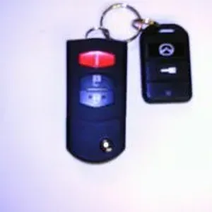 key fob.jpg