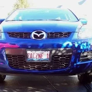 fog trim.jpg