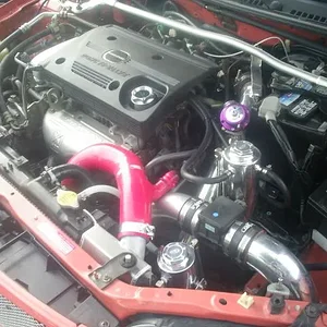 S4021205.JPG