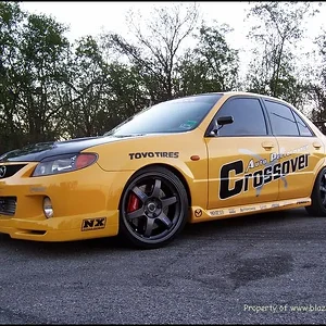 msp_4616.jpg
