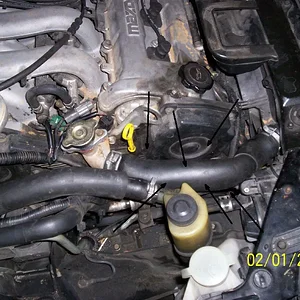 hose.jpg