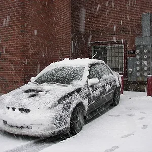 Picture 915crop.jpg
