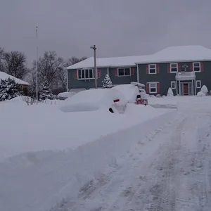 winter 03 045.jpg