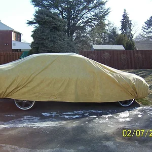Winter.jpg