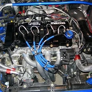 December 2006 012 (Small).jpg