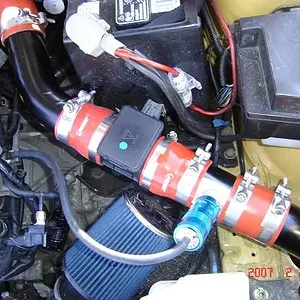 bov.JPG
