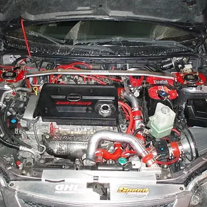 P3030970a.JPG
