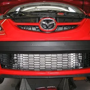 icincar.JPG