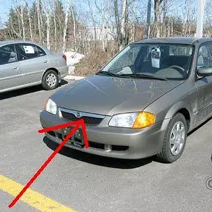 3867949qwd.JPG