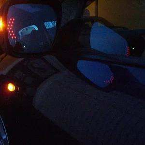 blinkers2.jpg