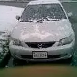 Pro inthe Sno 2.jpg