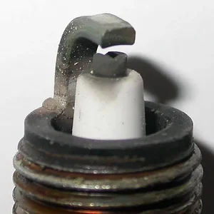 DSCN1196.JPG