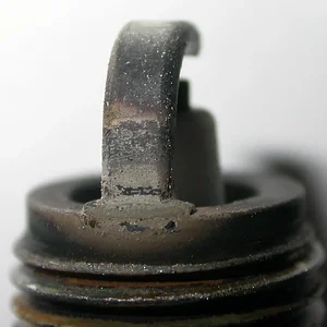 DSCN1198.JPG