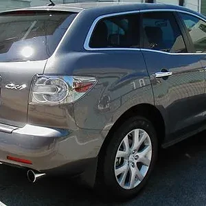 P1010011.JPG