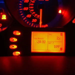 CIMG2207sm.jpg