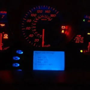 CIMG2213sm.jpg