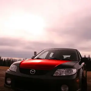 Modified Hood(small)4.JPG