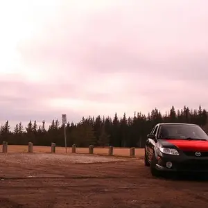Modified Hood(small)1.JPG