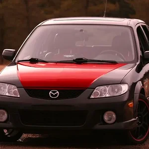 Modified Hood(small)2.JPG