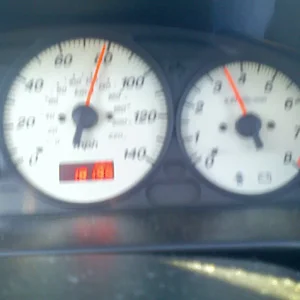 speedo2.jpg