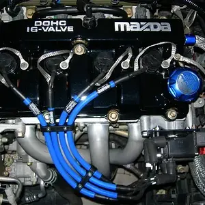 December 2006 037 (Small).jpg