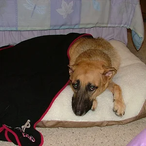 DSCF6004.JPG