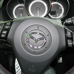 20085ms3013.jpg