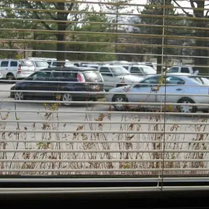 mazda5_office_parking_feb_2008.jpg 002.jpg