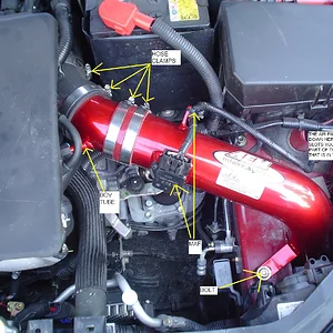 Copy of DSC00497.JPG