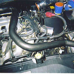 Pic5.jpg