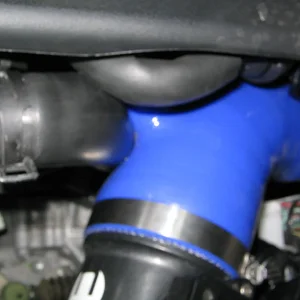 bpv 002.jpg