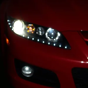 car 019.jpg