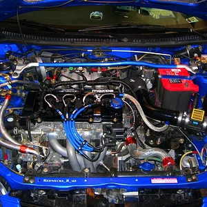 December 2006 015 (Large) (2).jpg