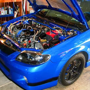 December 2006 016 (Large).jpg