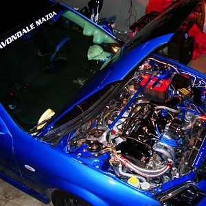 December 2006 026 (Large).jpg