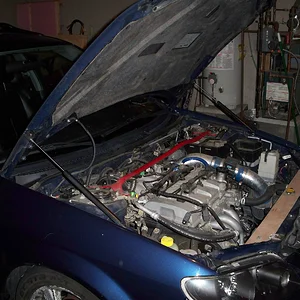 100_0723.JPG