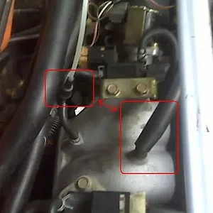 IMG00059.jpg