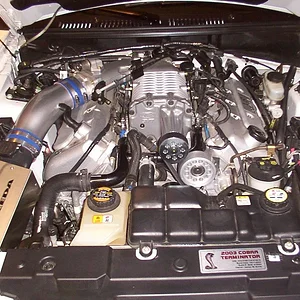 miscellaneous pics 299.jpg