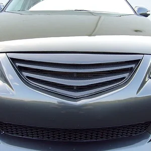 S7300117.jpg