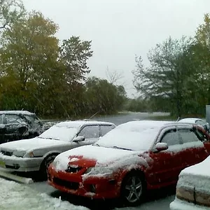 yaysnow.jpg