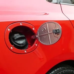 P1000666.JPG