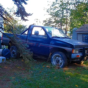 redneckyard.jpg