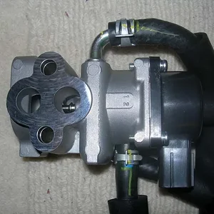 egrdetail2.jpg