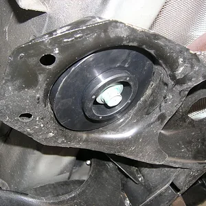 1cup upper perch.jpg