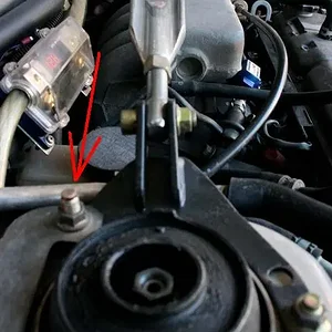 31830990067_large.jpg