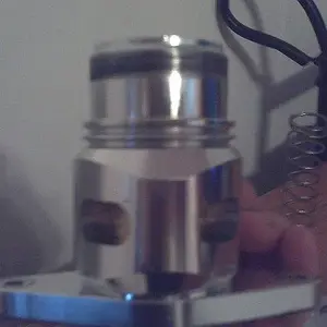bov pictures 004.JPG