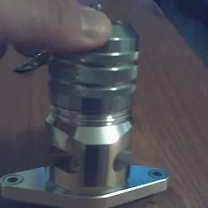 bov pictures 006.JPG