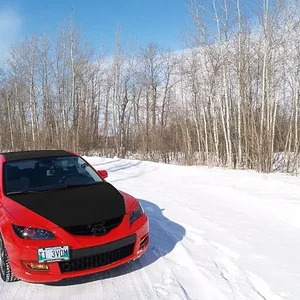 Blackroof and hood.jpg
