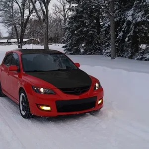 Blackroof and hood 2.jpg