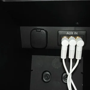 DSC04374 (Large).JPG